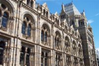 Stedentrip Londen
