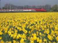 Start verkoop treintickets Zon-Thalys Zuid-Frankrijk