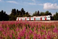 Finland per trein - Finse spoorwegen VR