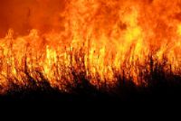 Grote brand Deventer legt treinverkeer richting Zutphen stil