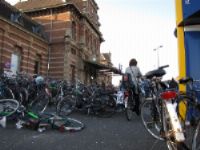 Fiets mag in de bus in Zuid-Holland
