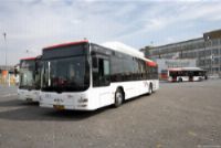 Aardigheid HTM voor staking