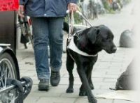 SP wil gratis reizen voor blinden en slechtzienden in Rotterdam