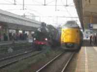 NS Koploper (ICM)